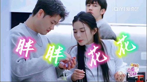 恋爱兄妹爆料视频大全,揭秘甜蜜背后的真实故事 第2张 恋爱兄妹爆料视频大全,揭秘甜蜜背后的真实故事 第2张